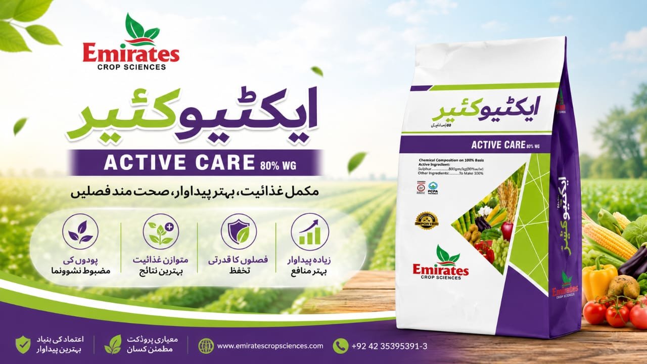 Active Care
