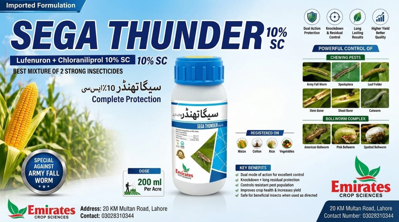 Sega Thunder